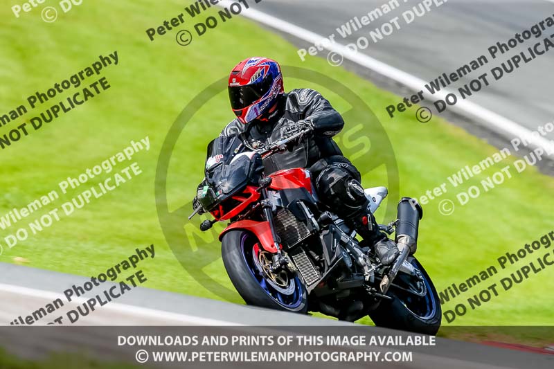 PJ Motorsport 2019;anglesey;brands hatch;cadwell park;croft;donington park;enduro digital images;event digital images;eventdigitalimages;mallory;no limits;oulton park;peter wileman photography;racing digital images;silverstone;snetterton;trackday digital images;trackday photos;vmcc banbury run;welsh 2 day enduro